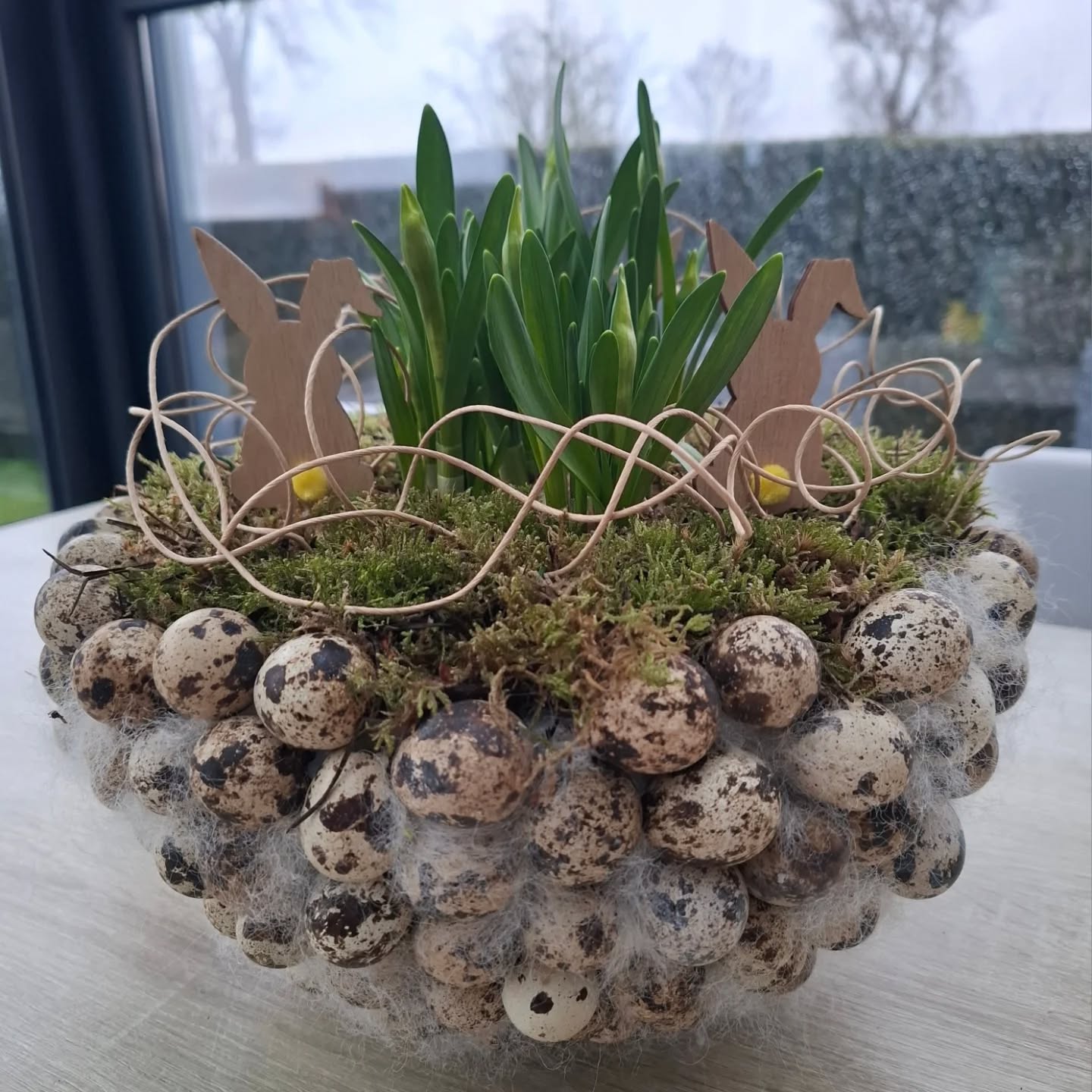 {$workshopItem.title